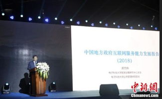 大數(shù)據(jù)驅(qū)動下的政府互聯(lián)網(wǎng)服務能力評估新范式