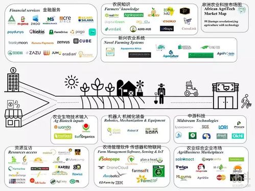 非洲農業科技新浪潮 聚焦種植決策、供應鏈與金融服務的數字化轉型
