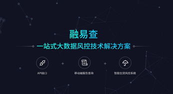融易查 引領互聯網時代大數據風控技術的數據服務